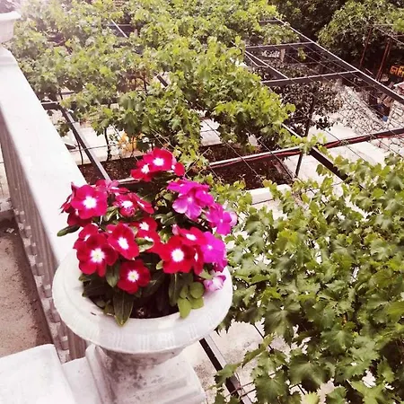 Apartment Nemanja