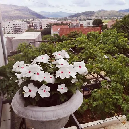 Nemanja * Trebinje