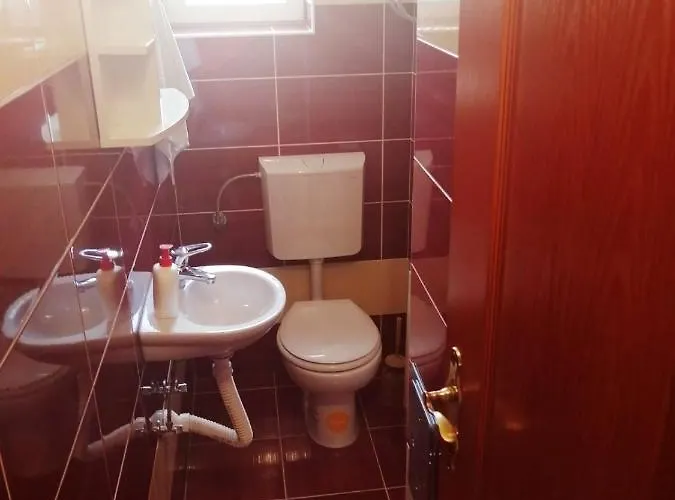 Nemanja Daire Trebin